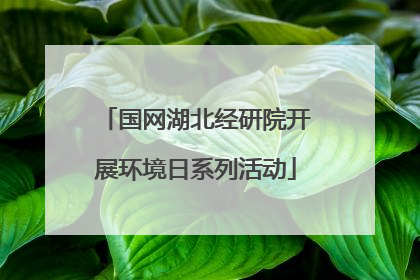 国网湖北经研院开展环境日系列活动