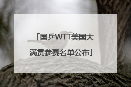 国乒WTT美国大满贯参赛名单公布