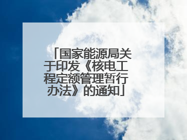 国家能源局关于印发《核电工程定额管理暂行办法》的通知