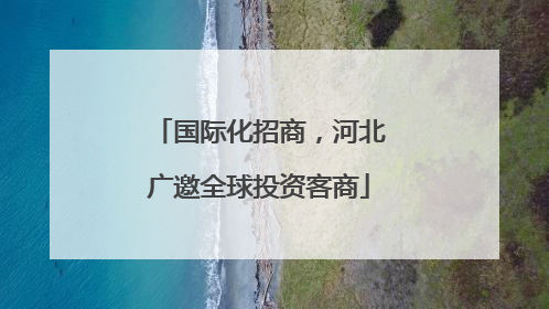 国际化招商，河北广邀全球投资客商