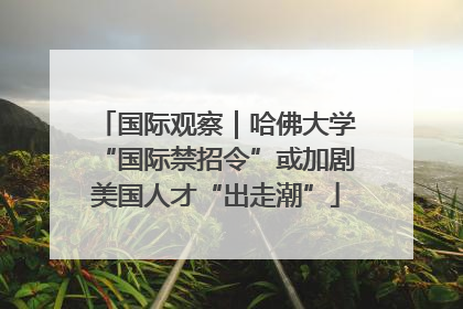 国际观察｜哈佛大学“国际禁招令”或加剧美国人才“出走潮”