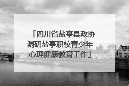 四川省盐亭县政协调研盐亭职校青少年心理健康教育工作