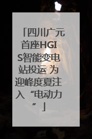 四川广元首座HGIS智能变电站投运 为迎峰度夏注入“电动力”