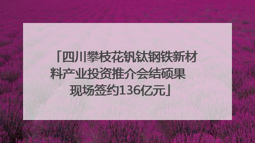 四川攀枝花钒钛钢铁新材料产业投资推介会结硕果 现场签约136亿元