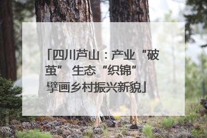 四川芦山：产业“破茧” 生态“织锦” 擘画乡村振兴新貌