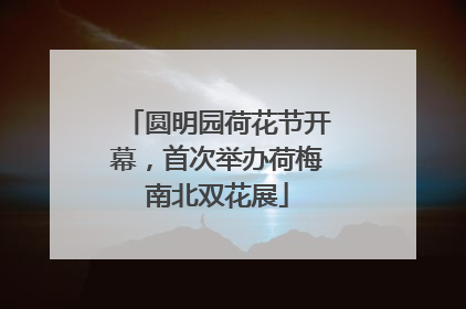 圆明园荷花节开幕，首次举办荷梅南北双花展