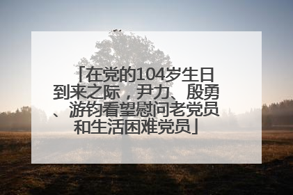 在党的104岁生日到来之际，尹力、殷勇、游钧看望慰问老党员和生活困难党员
