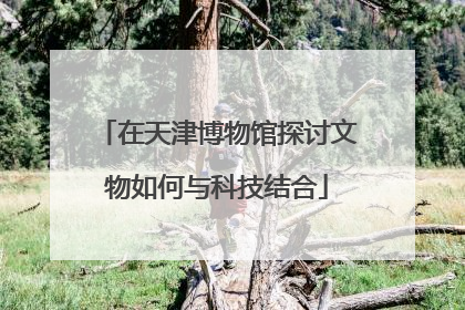在天津博物馆探讨文物如何与科技结合