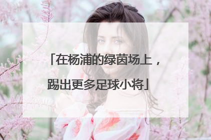 在杨浦的绿茵场上，踢出更多足球小将