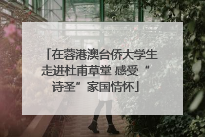 在蓉港澳台侨大学生走进杜甫草堂 感受“诗圣”家国情怀