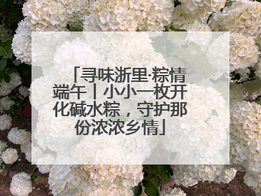 寻味浙里·粽情端午丨小小一枚开化碱水粽，守护那份浓浓乡情