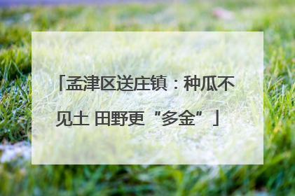 孟津区送庄镇：种瓜不见土 田野更“多金”