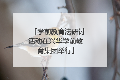 学前教育法研讨活动在兴华学前教育集团举行