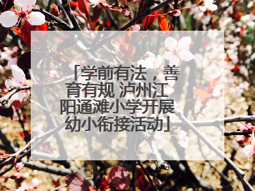 学前有法，善育有规 泸州江阳通滩小学开展幼小衔接活动