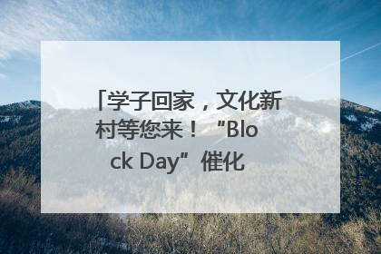 学子回家，文化新村等您来！“Block Day”催化学院式街区新生态