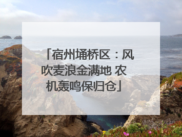 宿州埇桥区：风吹麦浪金满地 农机轰鸣保归仓
