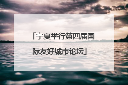 宁夏举行第四届国际友好城市论坛