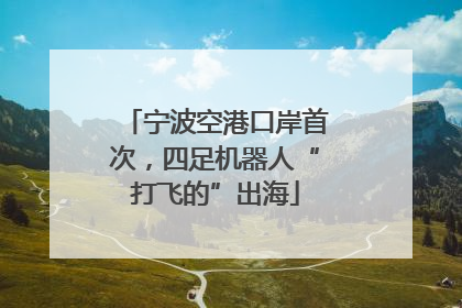 宁波空港口岸首次，四足机器人“打飞的”出海