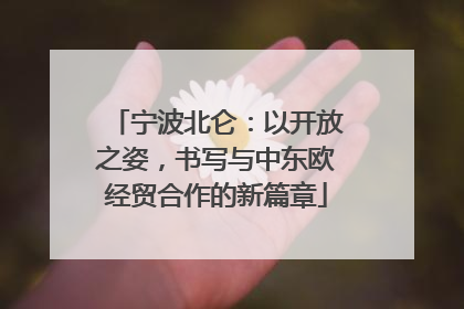 宁波北仑：以开放之姿，书写与中东欧经贸合作的新篇章
