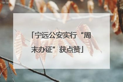宁远公安实行“周末办证”获点赞