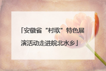 安徽省“村歌”特色展演活动走进皖北水乡
