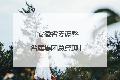 安徽省委调整一省属集团总经理