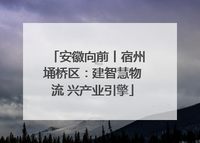 安徽向前丨宿州埇桥区：建智慧物流 兴产业引擎
