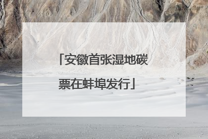 安徽首张湿地碳票在蚌埠发行