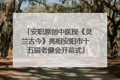 安职原创中医操《灵兰古今》亮相安阳市十五届老健会开幕式