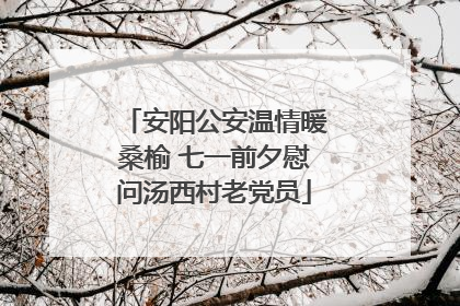 安阳公安温情暖桑榆 七一前夕慰问汤西村老党员