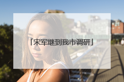 宋军继到我市调研