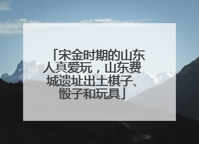 宋金时期的山东人真爱玩，山东费城遗址出土棋子、骰子和玩具