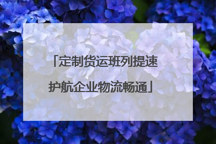 定制货运班列提速 护航企业物流畅通