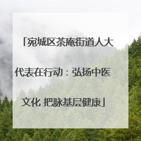 宛城区茶庵街道人大代表在行动：弘扬中医文化 把脉基层健康