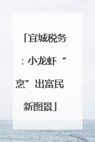 宜城税务：小龙虾“烹”出富民新图景