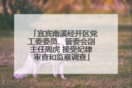 宜宾南溪经开区党工委委员、管委会副主任周虎 接受纪律审查和监察调查