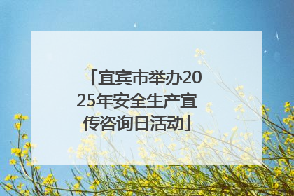宜宾市举办2025年安全生产宣传咨询日活动