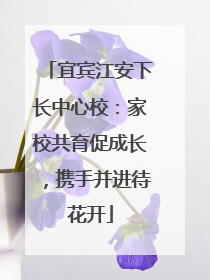 宜宾江安下长中心校：家校共育促成长，携手并进待花开
