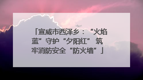 宣威市西泽乡：“火焰蓝”守护“夕阳红” 筑牢消防安全“防火墙”