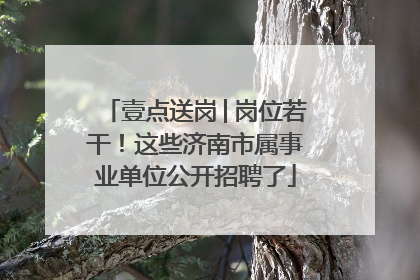 壹点送岗│岗位若干！这些济南市属事业单位公开招聘了