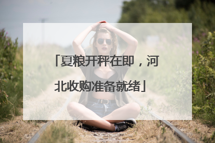 夏粮开秤在即，河北收购准备就绪