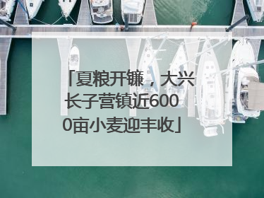 夏粮开镰，大兴长子营镇近6000亩小麦迎丰收