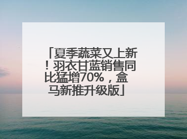 夏季蔬菜又上新！羽衣甘蓝销售同比猛增70%，盒马新推升级版