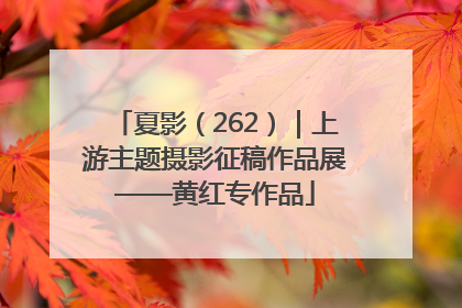 夏影（262）｜上游主题摄影征稿作品展——黄红专作品