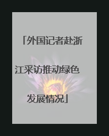 外国记者赴浙江采访推动绿色发展情况