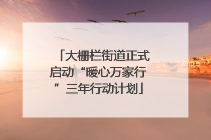 大栅栏街道正式启动“暖心万家行”三年行动计划