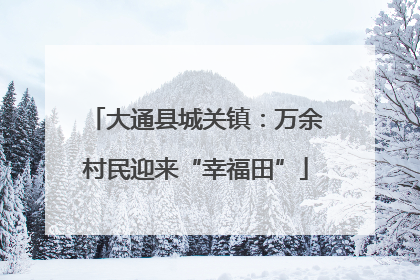大通县城关镇：万余村民迎来“幸福田”