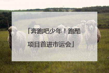 奔跑吧少年！跑酷项目首进市运会