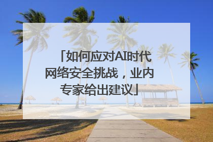 如何应对AI时代网络安全挑战，业内专家给出建议