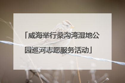 威海举行桑沟湾湿地公园巡河志愿服务活动